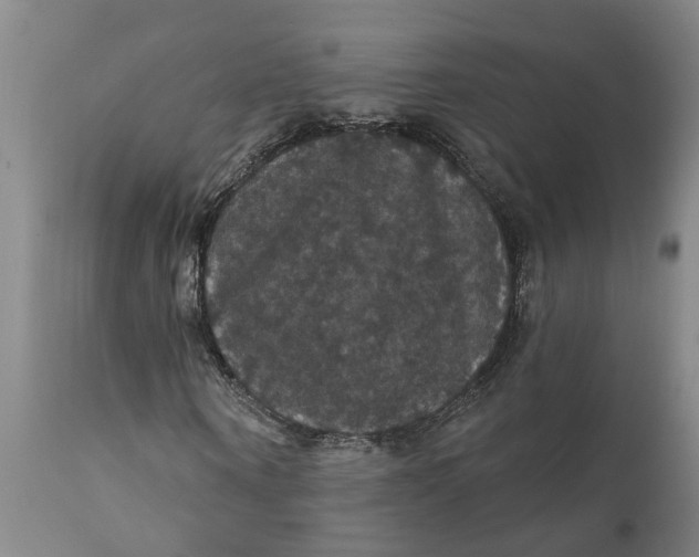 X0000111910866200908171259