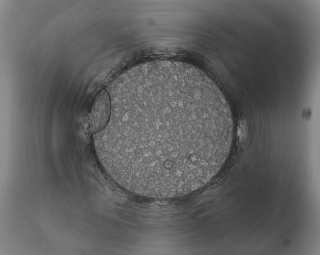 X0000111910867200908171259