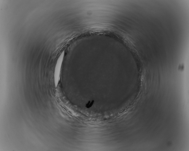 X0000111910868200908171259