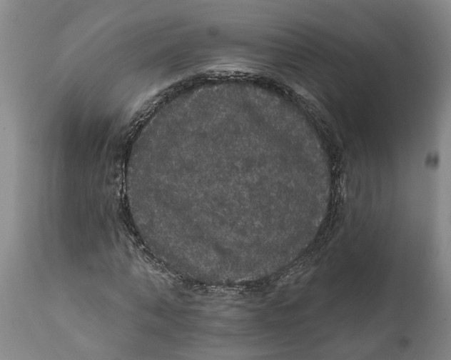 X0000111910870200908171259