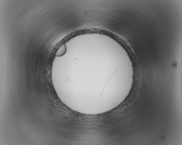 X0000111910871200908171259