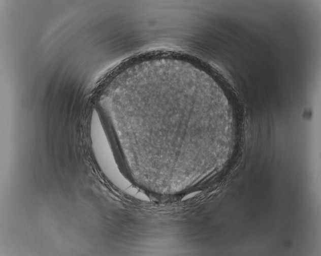 X0000111910872200908171259