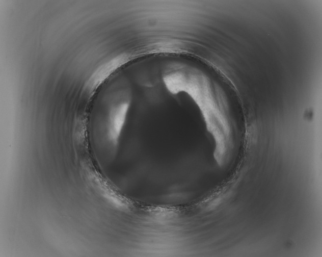 X0000111910874200908171259