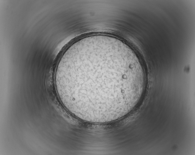 X0000111910875200908171259