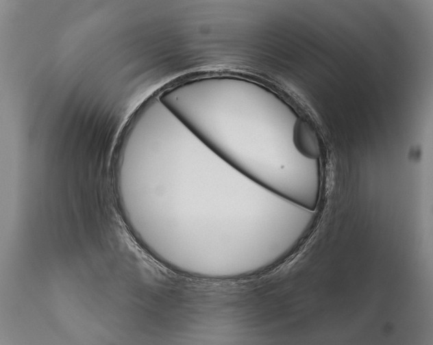 X0000111910876200908171259