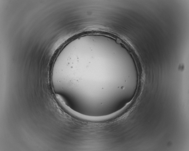 X0000111910877200908171259