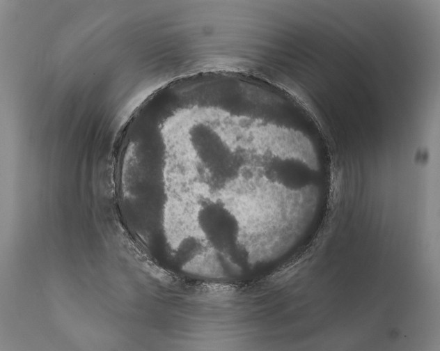 X0000111910878200908171259