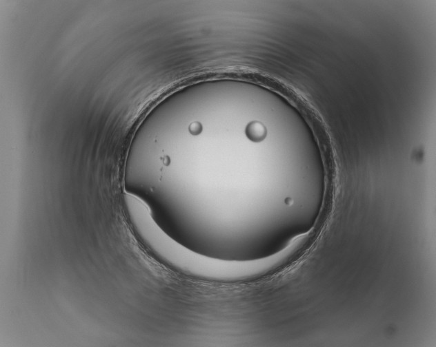 X0000111910881200908171259