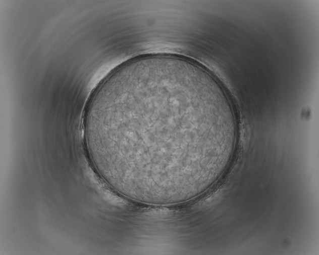 X0000111910885200908171259