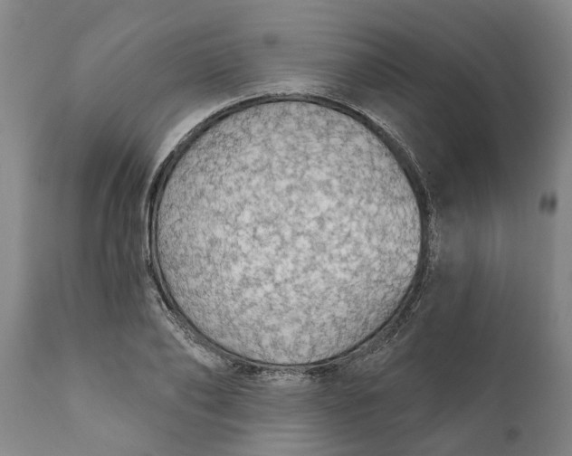 X0000111910886200908171259