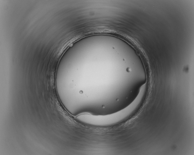 X0000111910889200908171259