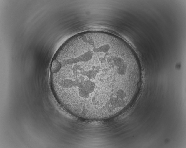 X0000111910891200908171259