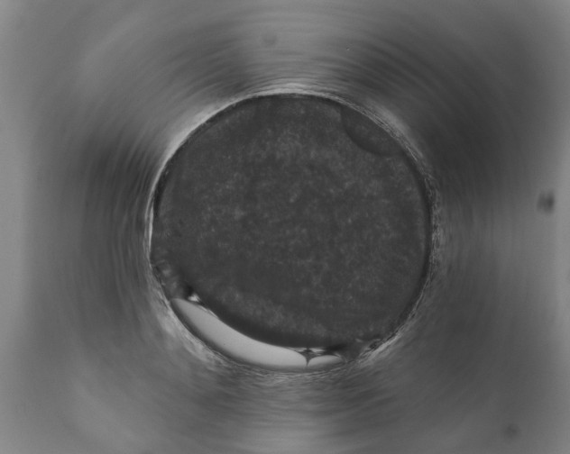 X0000111910892200908171259