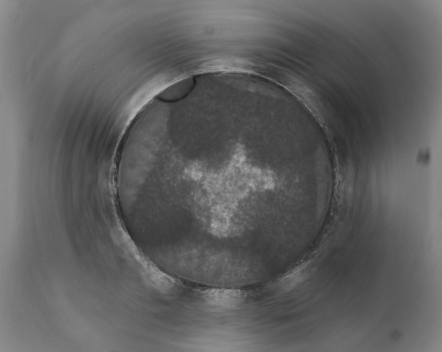 X0000111910893200908171259