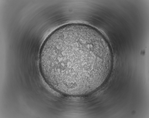 X0000111910895200908171259