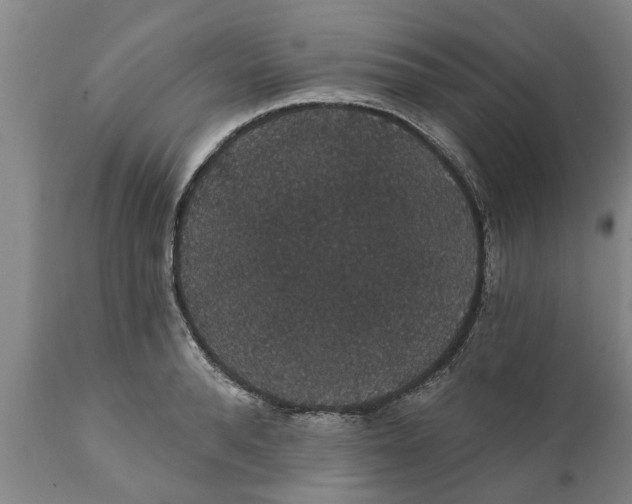 X0000111910896200908171259