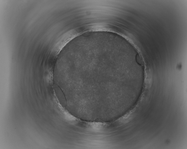 X0000111910897200908171259