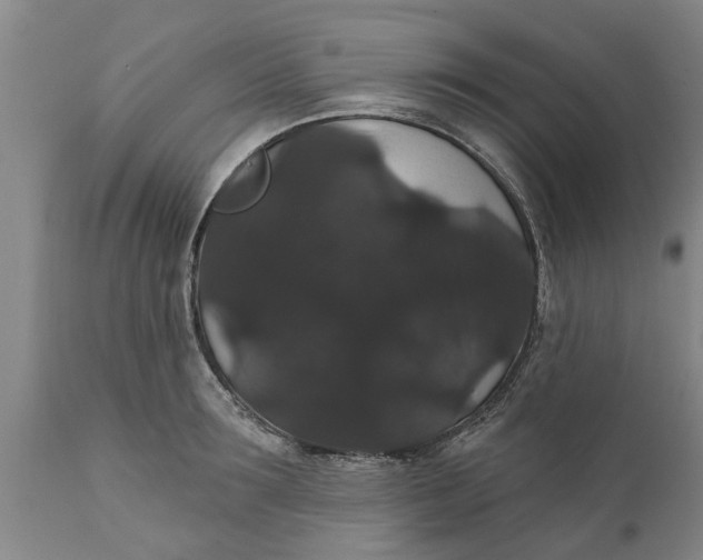 X0000111910899200908171259