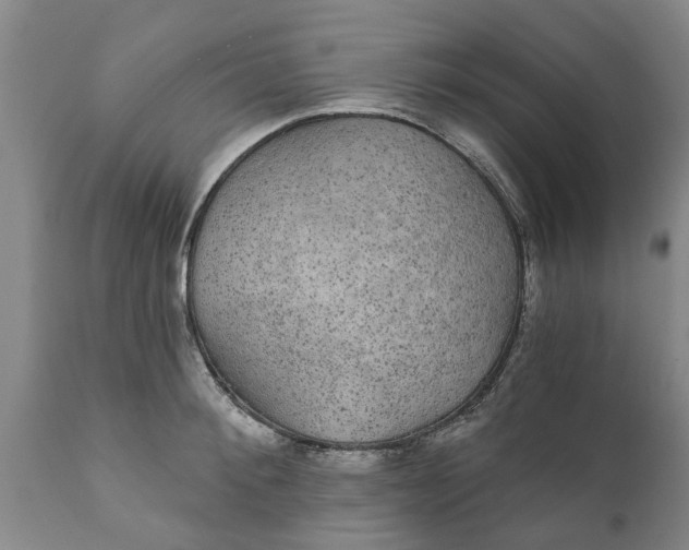 X0000111910900200908171259