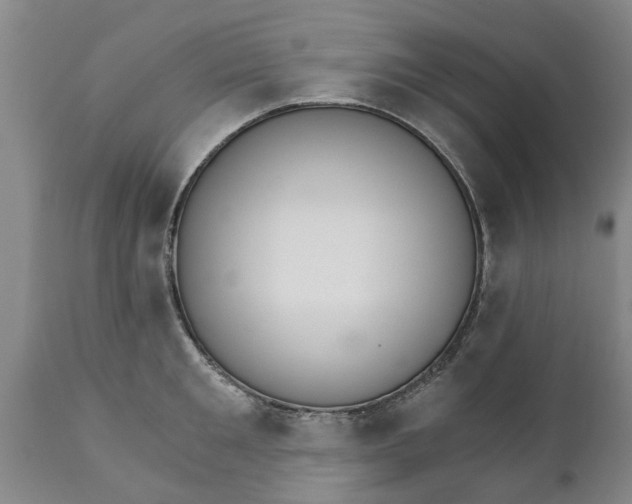 X0000111910901200908171259