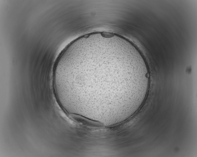 X0000111910902200908171259