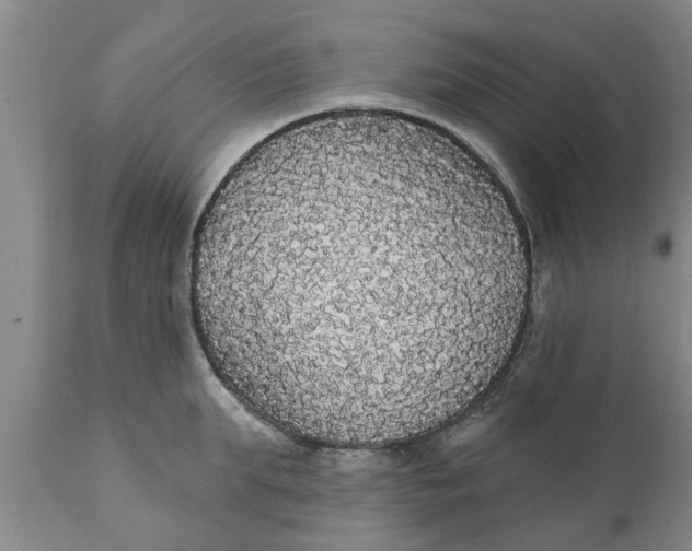 X0000111910903200908171259