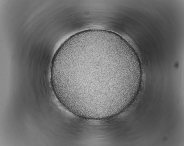 X0000111910904200908171259