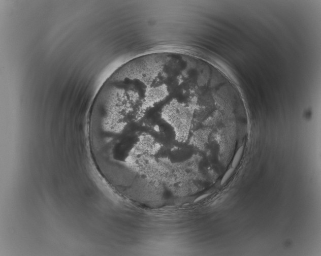 X0000111910907200908171259