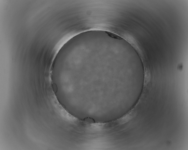 X0000111910908200908171259