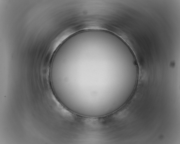 X0000111910909200908171259