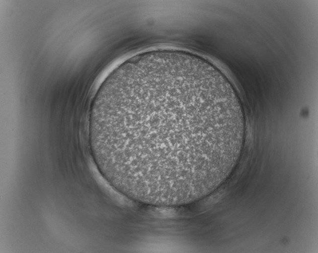 X0000111910911200908171259