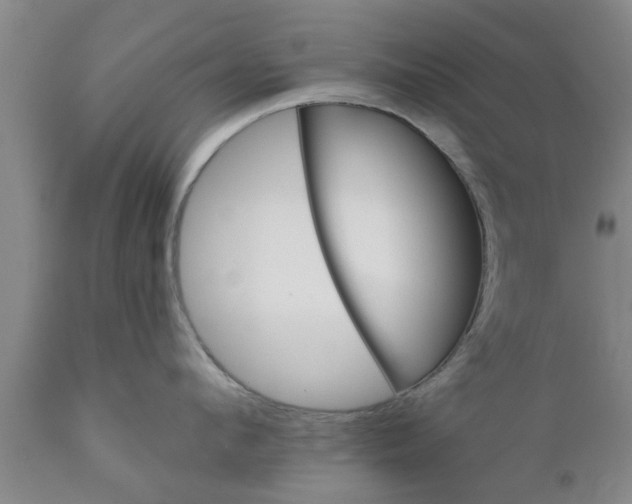 X0000111910912200908171259