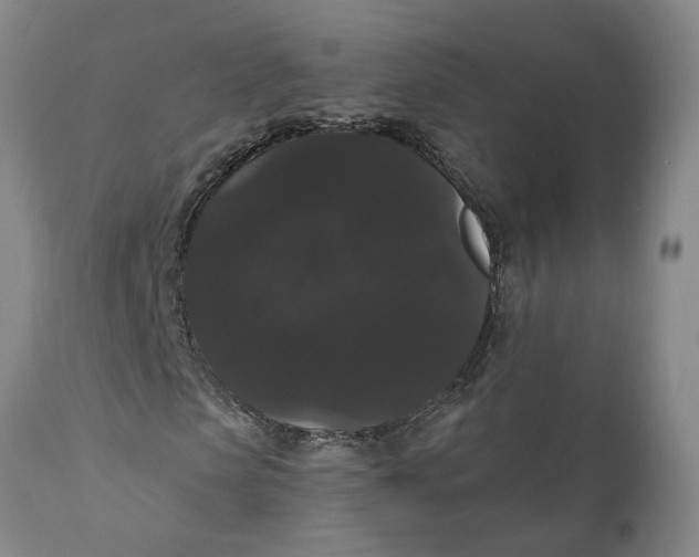 X0000111910913200908171258