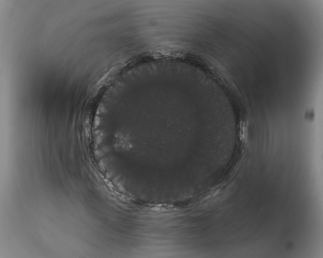 X0000111910915200908171258