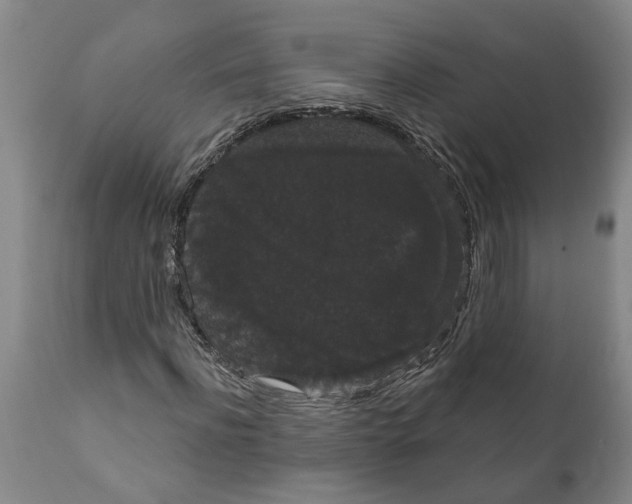 X0000111910916200908171258