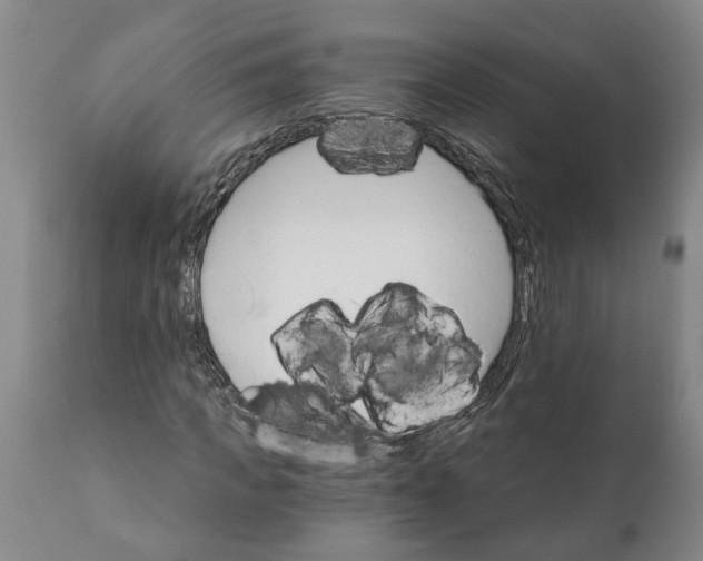 X0000111910917200908171258