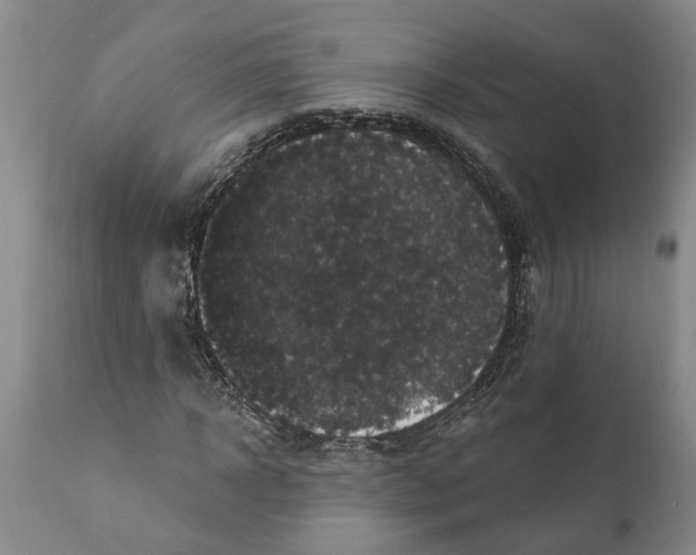 X0000111910918200908171258