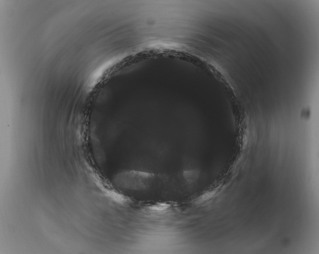 X0000111910919200908171258