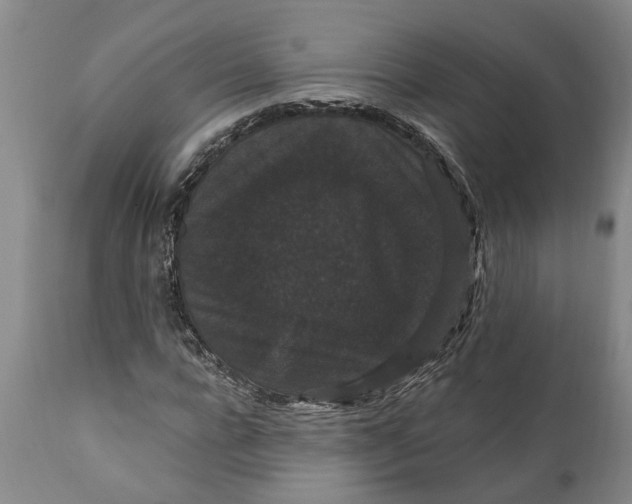 X0000111910920200908171258