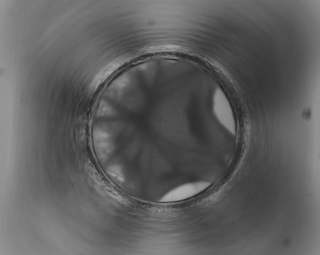 X0000111910921200908171258