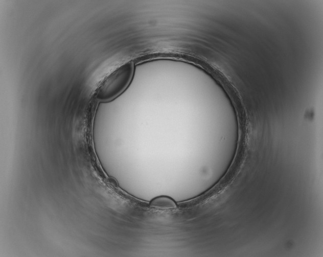 X0000111910922200908171258