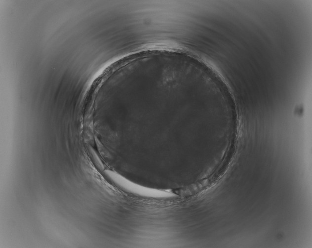 X0000111910923200908171258