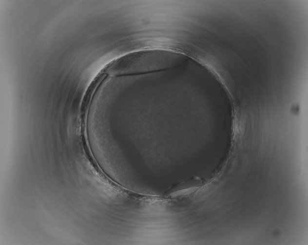 X0000111910924200908171258