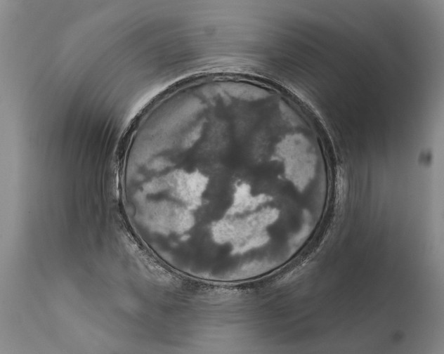 X0000111910925200908171258