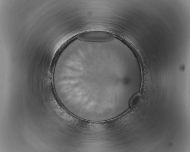 X0000111910928200908171258