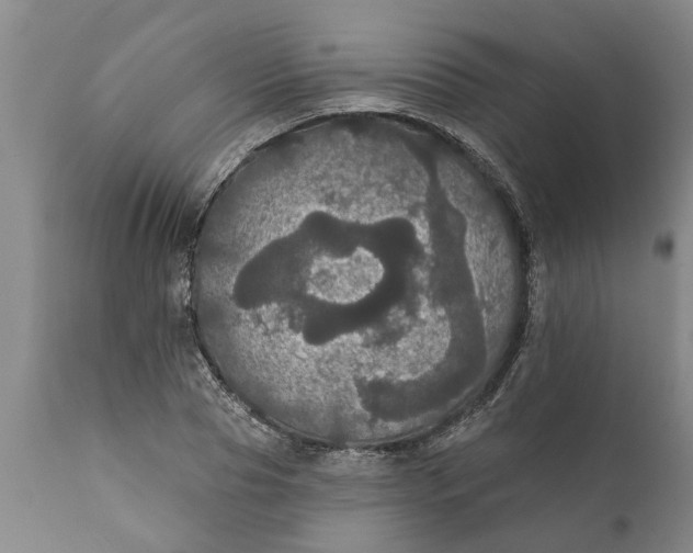 X0000111910929200908171258