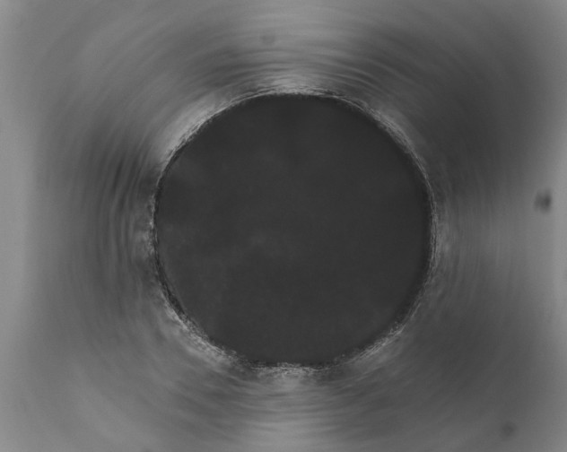 X0000111910930200908171258