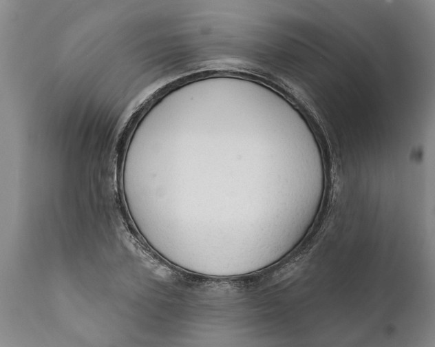 X0000111910931200908171258