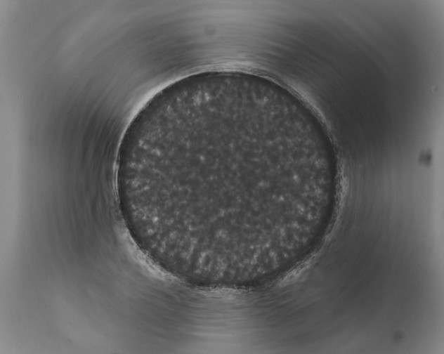 X0000111910932200908171258