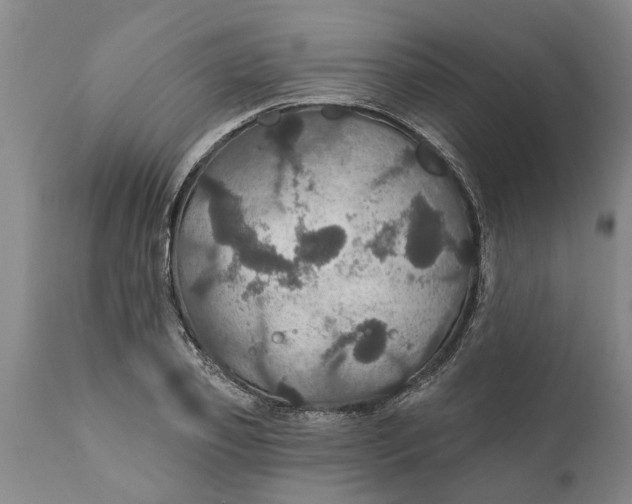 X0000111910933200908171258